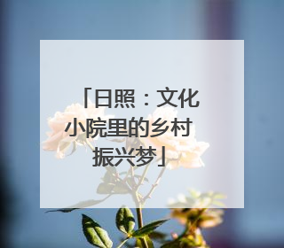 日照：文化小院里的乡村振兴梦