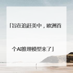 旨在追赶美中，欧洲首个AI推理模型来了