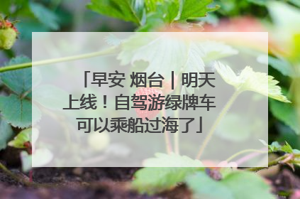 早安 烟台｜明天上线！自驾游绿牌车可以乘船过海了