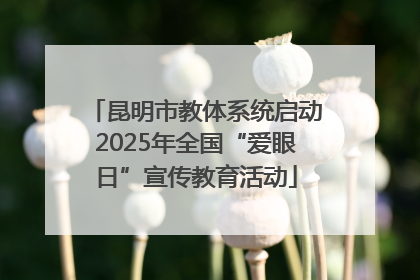 昆明市教体系统启动2025年全国“爱眼日”宣传教育活动