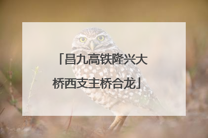 昌九高铁隆兴大桥西支主桥合龙