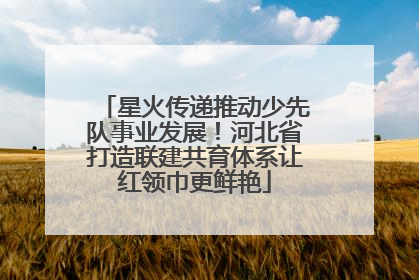 星火传递推动少先队事业发展！河北省打造联建共育体系让红领巾更鲜艳