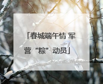 春城端午情 军营“粽”动员