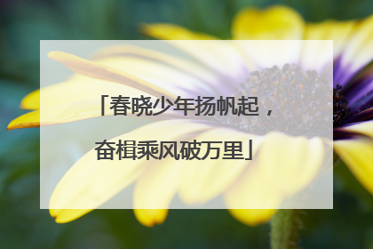 春晓少年扬帆起，奋楫乘风破万里