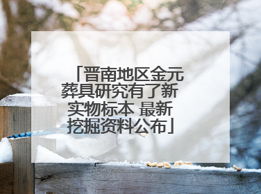 晋南地区金元葬具研究有了新实物标本 最新挖掘资料公布