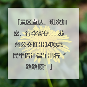 景区直达、班次加密、行李寄存……苏州公交推出14项惠民举措让端午出行“路路顺”
