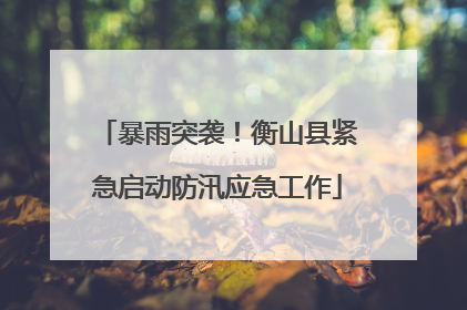 暴雨突袭！衡山县紧急启动防汛应急工作