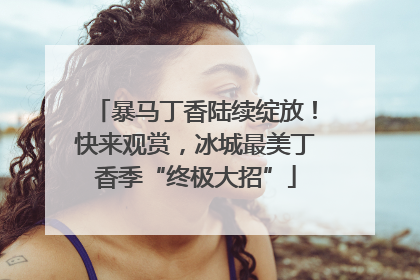暴马丁香陆续绽放！快来观赏，冰城最美丁香季“终极大招”