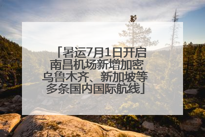 暑运7月1日开启 南昌机场新增加密乌鲁木齐、新加坡等多条国内国际航线