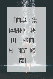 曲阜：集体耕种一块田 二张曲村“稻”路宽