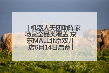 机器人天团助阵家场景全品类覆盖 京东MALL北京双井店6月14日启幕