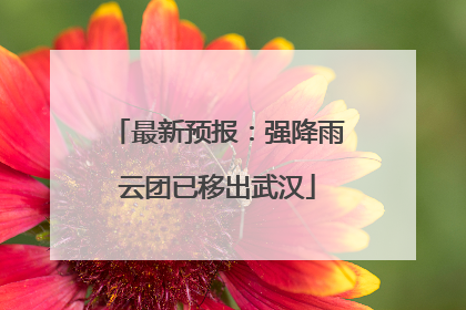最新预报：强降雨云团已移出武汉