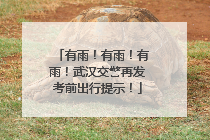 有雨！有雨！有雨！武汉交警再发考前出行提示！