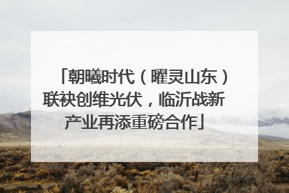 朝曦时代（曜灵山东）联袂创维光伏，临沂战新产业再添重磅合作