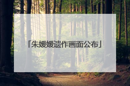 朱媛媛遗作画面公布