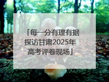 每一分有理有据 探访甘肃2025年高考评卷现场