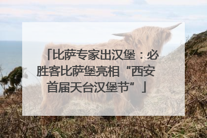 比萨专家出汉堡：必胜客比萨堡亮相“西安首届天台汉堡节”
