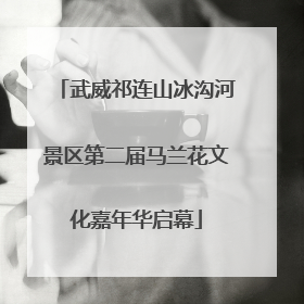 武威祁连山冰沟河景区第二届马兰花文化嘉年华启幕