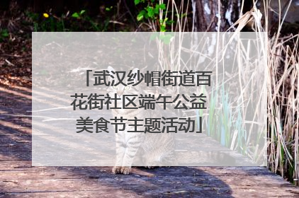 武汉纱帽街道百花街社区端午公益美食节主题活动