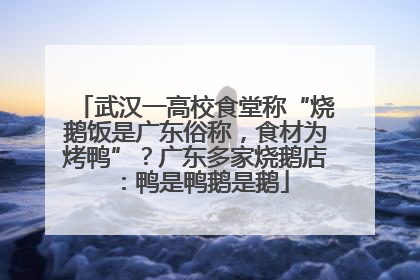武汉一高校食堂称“烧鹅饭是广东俗称，食材为烤鸭”？广东多家烧鹅店：鸭是鸭鹅是鹅