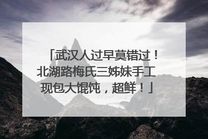 武汉人过早莫错过！北湖路梅氏三姊妹手工现包大馄饨，超鲜！