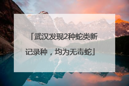 武汉发现2种蛇类新记录种，均为无毒蛇