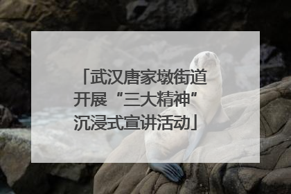 武汉唐家墩街道开展“三大精神”沉浸式宣讲活动