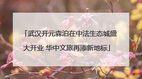 武汉开元森泊在中法生态城盛大开业 华中文旅再添新地标