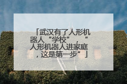武汉有了人形机器人“学校”，“人形机器人进家庭，这是第一步”