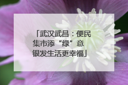 武汉武昌：便民集市添“绿”意 银发生活更幸福