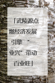 武陵源点燃经济发展引擎 “一业兴”带动百业旺