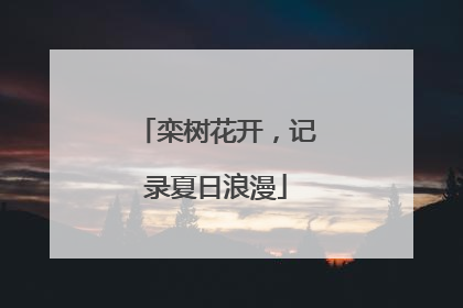 栾树花开，记录夏日浪漫