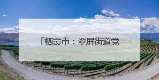 栖霞市：翠屏街道党工委领办联合社让“农特好品”香飘四方