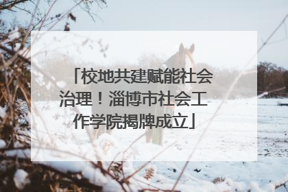 校地共建赋能社会治理！淄博市社会工作学院揭牌成立
