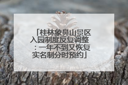 桂林象鼻山景区入园制度反复调整：一年不到又恢复实名制分时预约