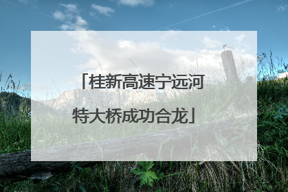 桂新高速宁远河特大桥成功合龙