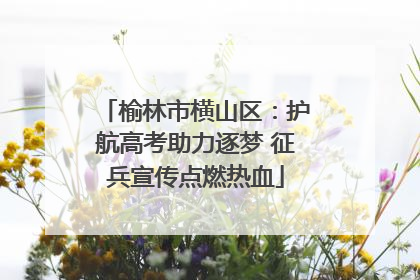 榆林市横山区：护航高考助力逐梦 征兵宣传点燃热血