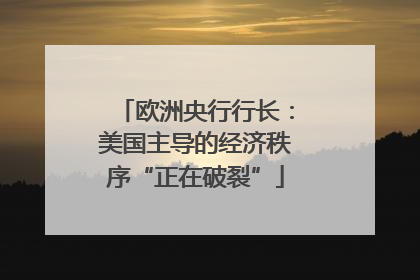 欧洲央行行长：美国主导的经济秩序“正在破裂”