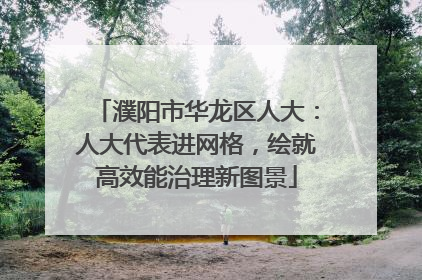 濮阳市华龙区人大：人大代表进网格，绘就高效能治理新图景
