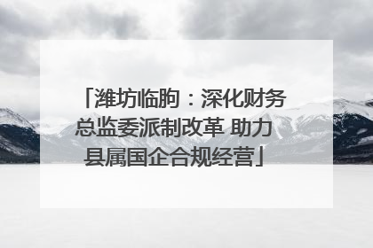 潍坊临朐：深化财务总监委派制改革 助力县属国企合规经营