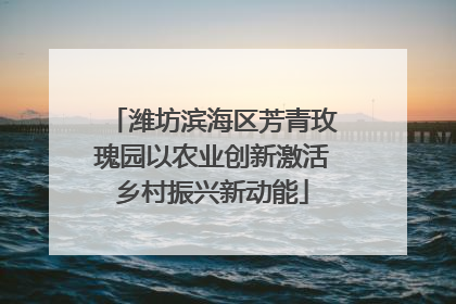 潍坊滨海区芳青玫瑰园以农业创新激活乡村振兴新动能