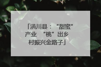 潢川县：“甜蜜”产业  “桃”出乡村振兴金路子