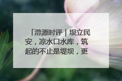 澧源时评｜坝立民安，凉水口水库，筑起的不止是堤坝，更是民心长城