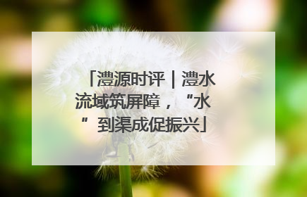 澧源时评｜澧水流域筑屏障，“水”到渠成促振兴