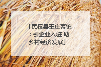 民权县王庄寨镇：引企业入驻 助乡村经济发展