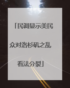 民调显示美民众对洛杉矶之乱看法分裂