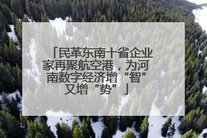 民革东南十省企业家再聚航空港，为河南数字经济增“智”又增“势”