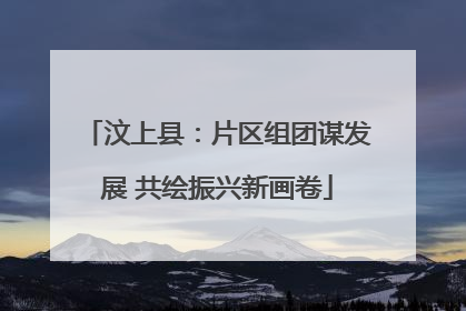 汶上县：片区组团谋发展 共绘振兴新画卷