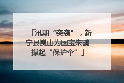 汛期“突袭”，新宁县崀山为国宝朱鹮撑起“保护伞”