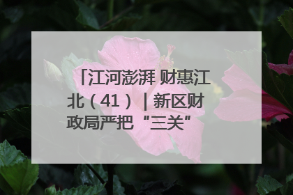 江河澎湃 财惠江北（41）｜新区财政局严把“三关” 绘就“良田美景”
